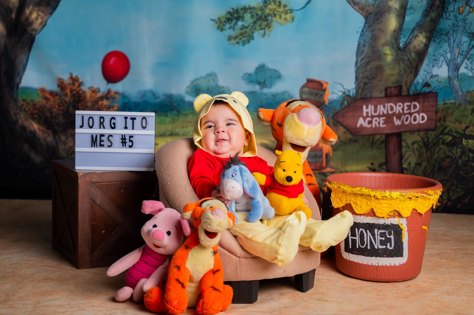 Sesiones de bebé y sitter