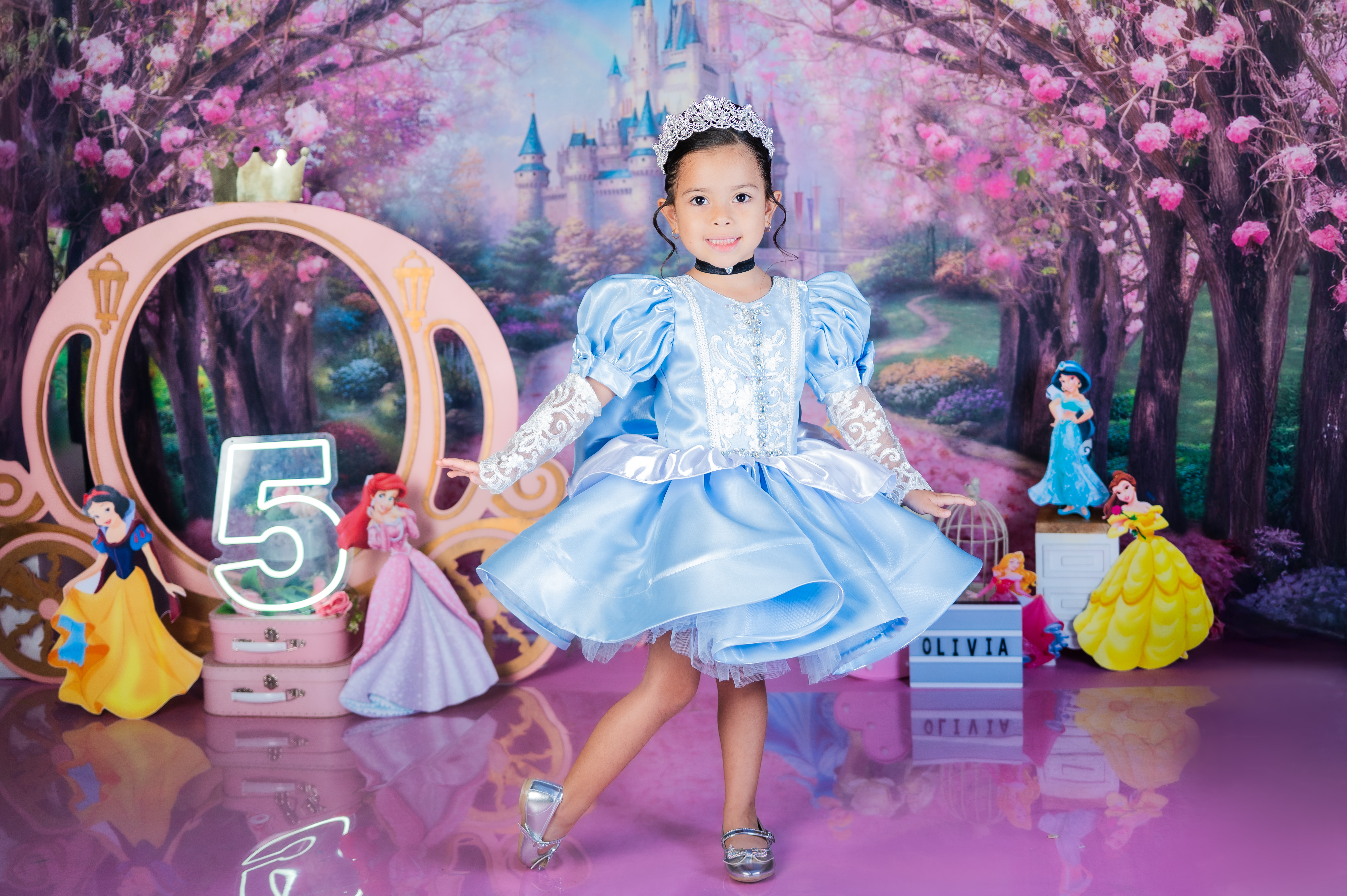 Cenicienta y Princesas Disney