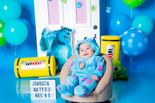 Monster INC Sullyvan